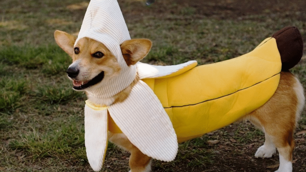 How to Clean Recovery Suits and Sleeves