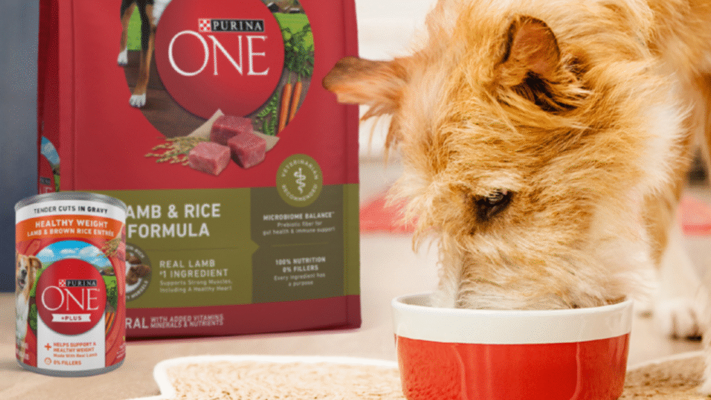 Purina ONE Chicken & Rice Formula Dry Dog Food