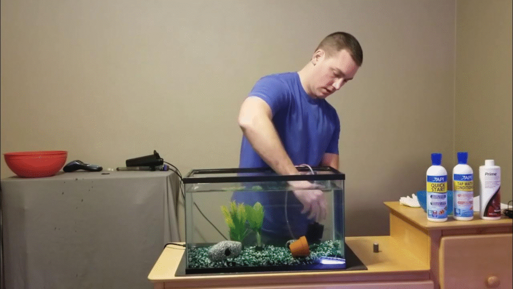 how to clean a fish tank at home using basic aquarium maintenance tools