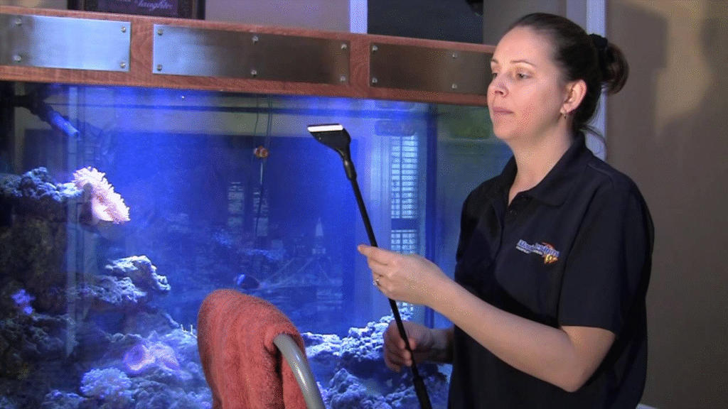 step-by-step demonstration of how to clean a fish tank without harming fish