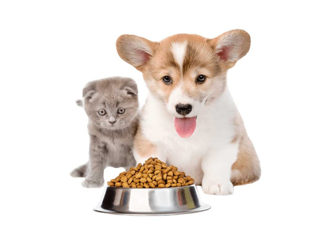 Pet-food-JPG pet food | Petcareinf
