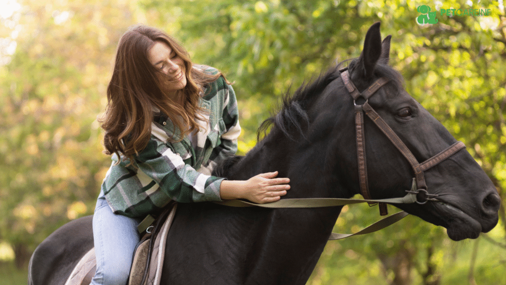 Equine Horse Names Top 69 Names for Mares, Stallions & More