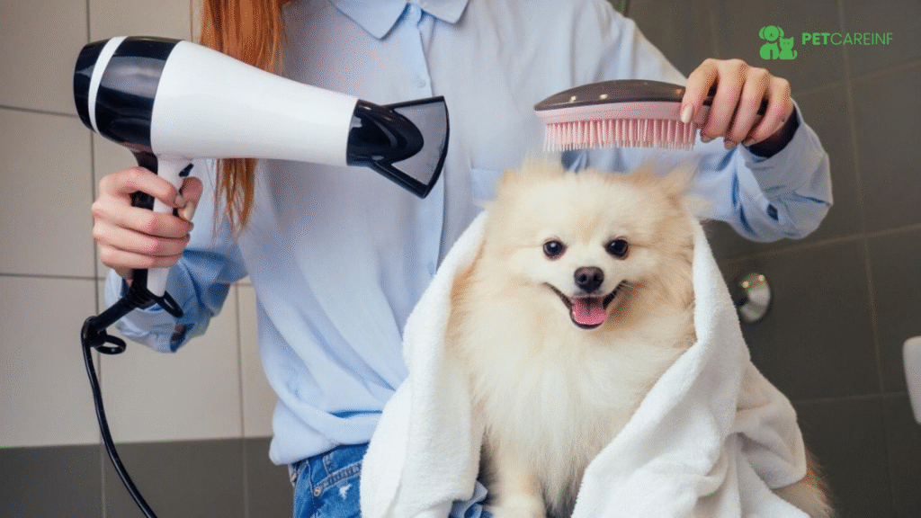 How To Make Dog Hair Soft