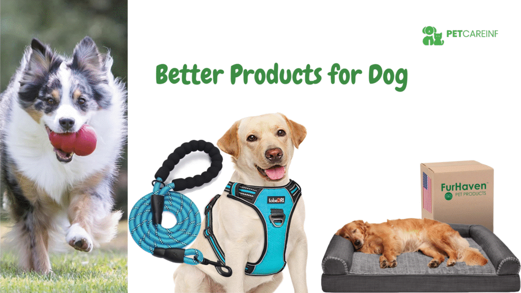 Better Products for Dogs