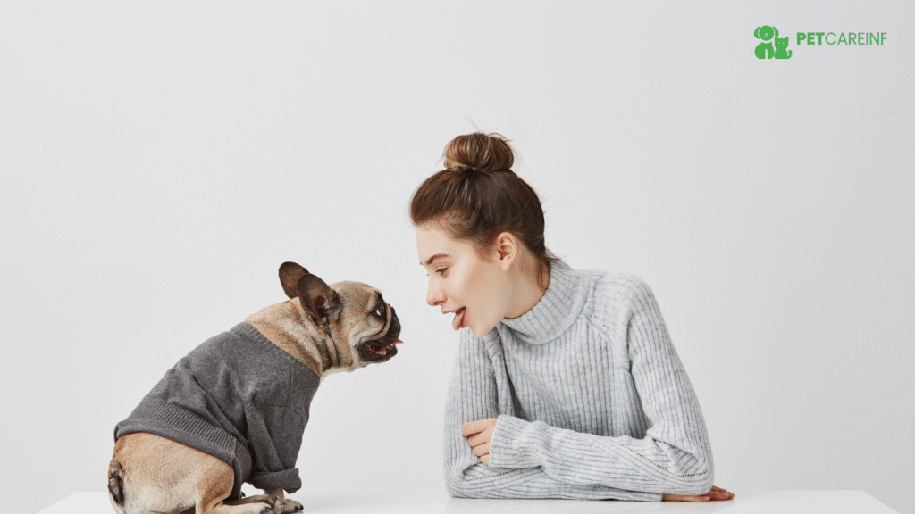 Reasons Why Dogs Are Better Than Cats