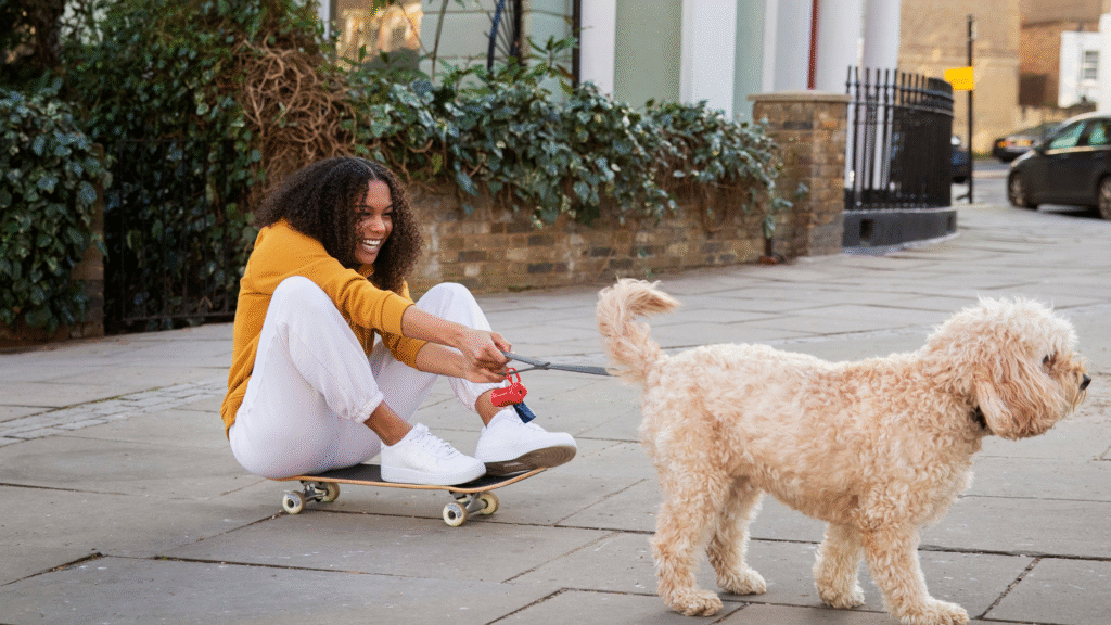 Toy and Miniature Poodle Mini Hypoallergenic Dogs Toy and Miniature Poodle Mini Hypoallergenic Dogs