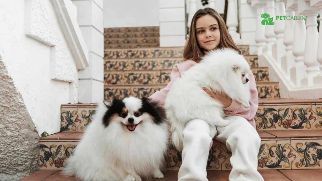 Wrinkly Dog Breeds A Guide to Adorable Folds and Care (1)