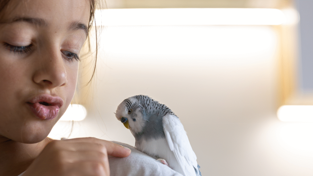 Common Health Problems in Scarlet Macaw Birds Common Health Problems in Scarlet Macaw Birds