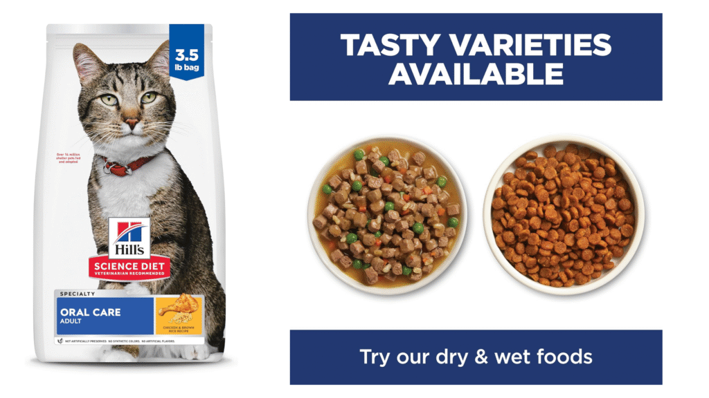 Hill’s Science Diet Oral Care Adult Cat Food | petcareinf