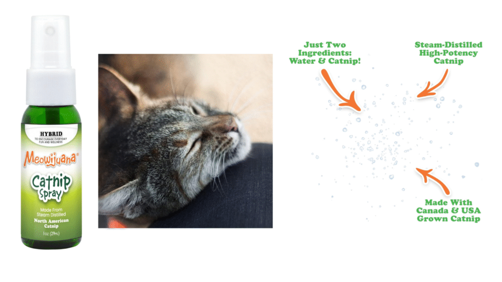 Meowijuana 1oz Premium Catnip Spray