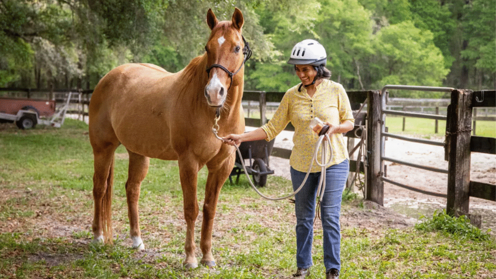 What Is the Horse Age Chart for Human Year Equivalents?