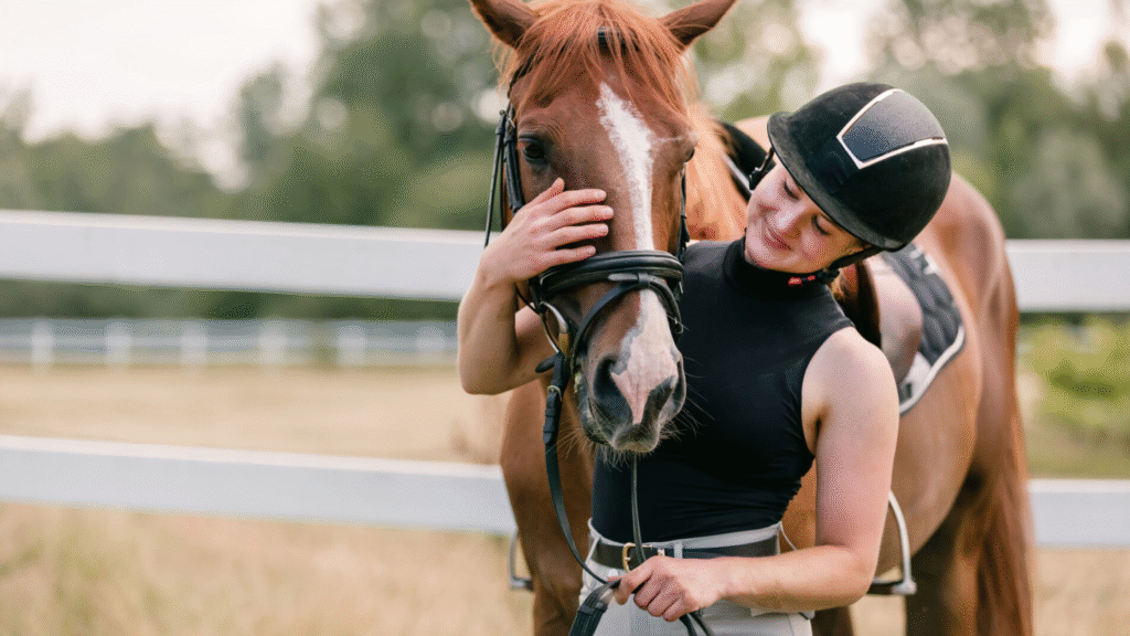 Horse Years to Human Years Simple Age Conversion Guide for Accurate Equine Age Understanding