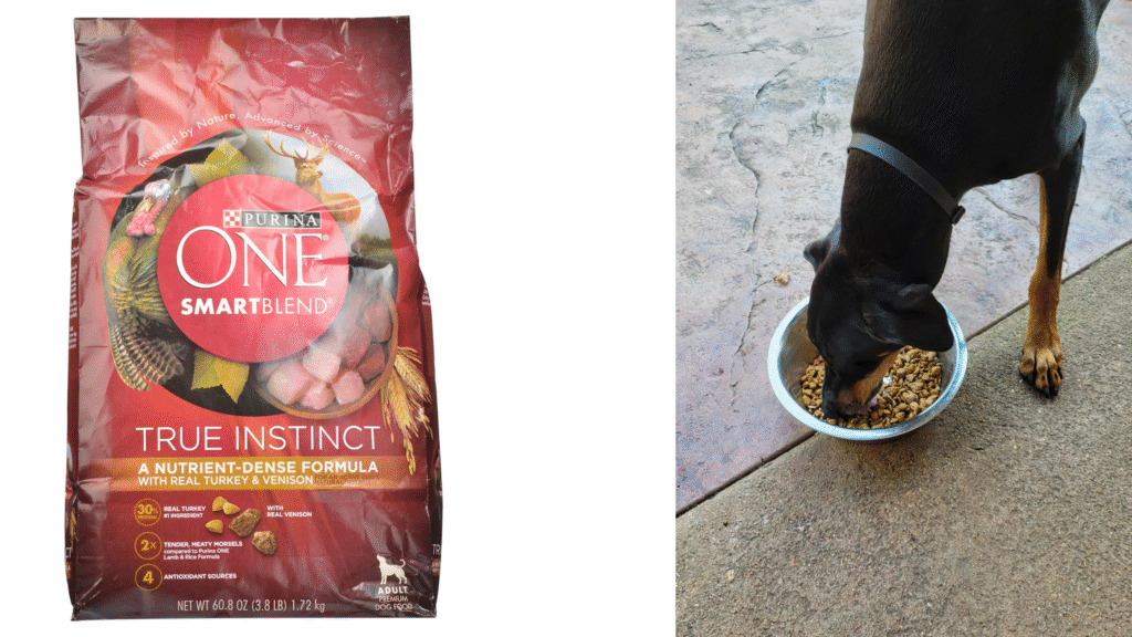Purina ONE Chicken & Rice Formula – Dry (31.1 lb) (1) Purina ONE Chicken & Rice Formula – Dry (31.1 lb) | petcareinf