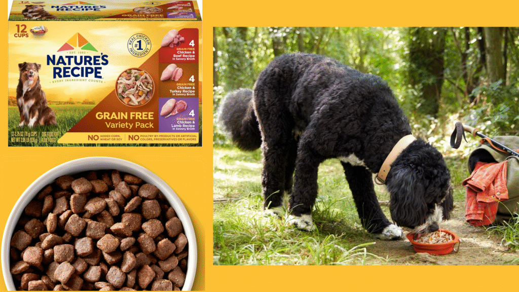 Purina ONE Chicken & Rice Formula – Dry (31.1 lb) Purina ONE Chicken & Rice Formula – Dry (31.1 lb) | petcareinf