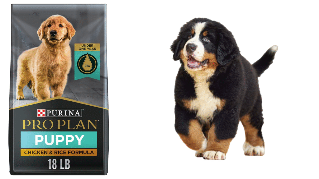Purina Pro Plan High Protein Puppy – Chicken & Rice (18 lb) Purina Pro Plan High Protein Puppy – Chicken & Rice (18 lb) |petcareinf