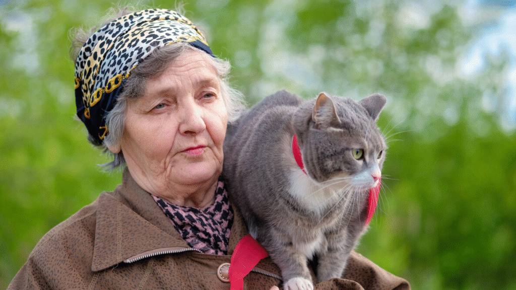 What Are the Key Cat Life Stages and Their Human Age Equivalents?