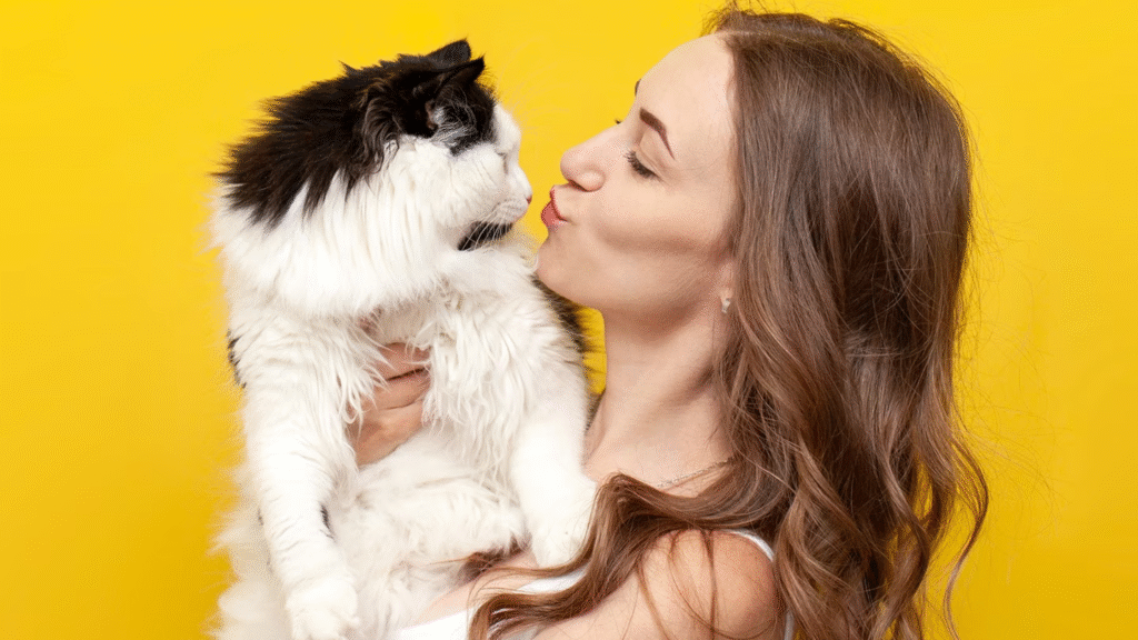 How Old Are Cat Years in Human Years? Easy Age Conversion Guide