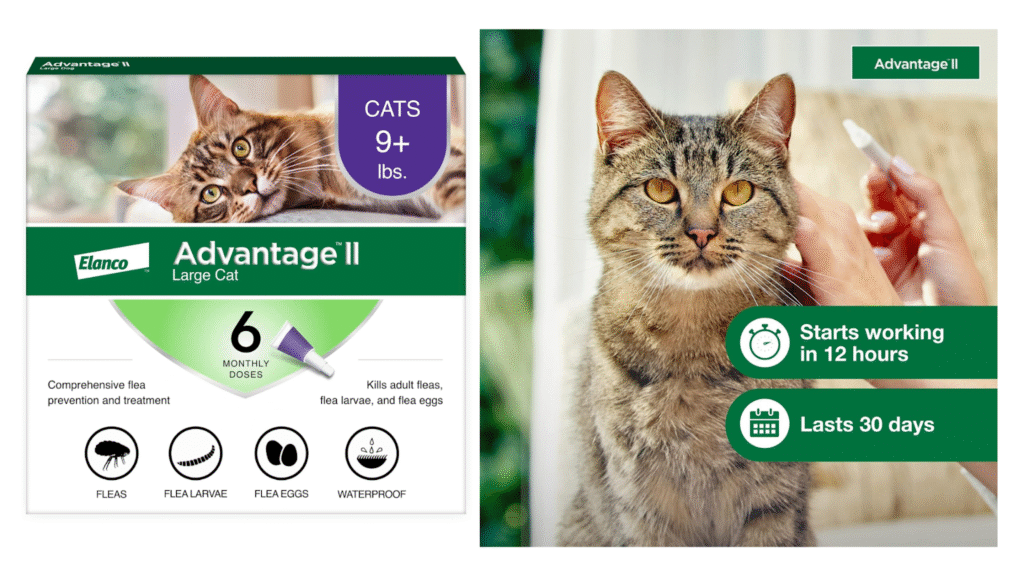 best tick and flea medicine for cats | Advantage II Large Cat Vet-Recommended Flea Treatment – 6-Month Supply