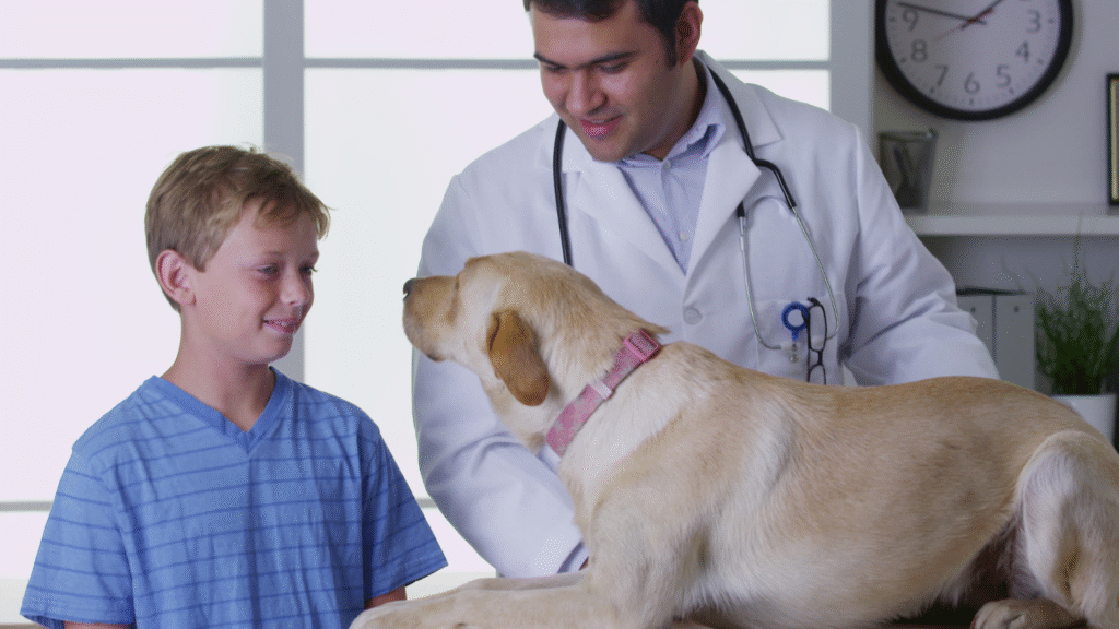 When to See a Veterinarian| home remedies for dog scooting