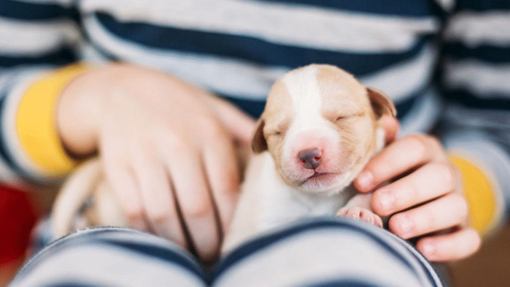 What Healthy Eye Opening Looks Like