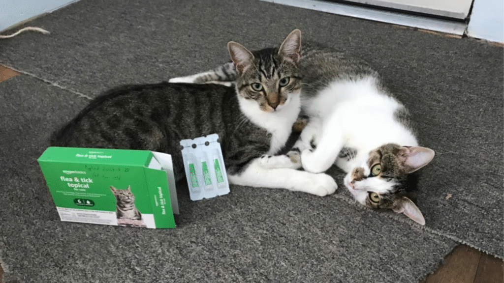 best tick and flea medicine for cats
| Amazon Basics Flea & Tick Topical Treatment for Cats – 3 Count