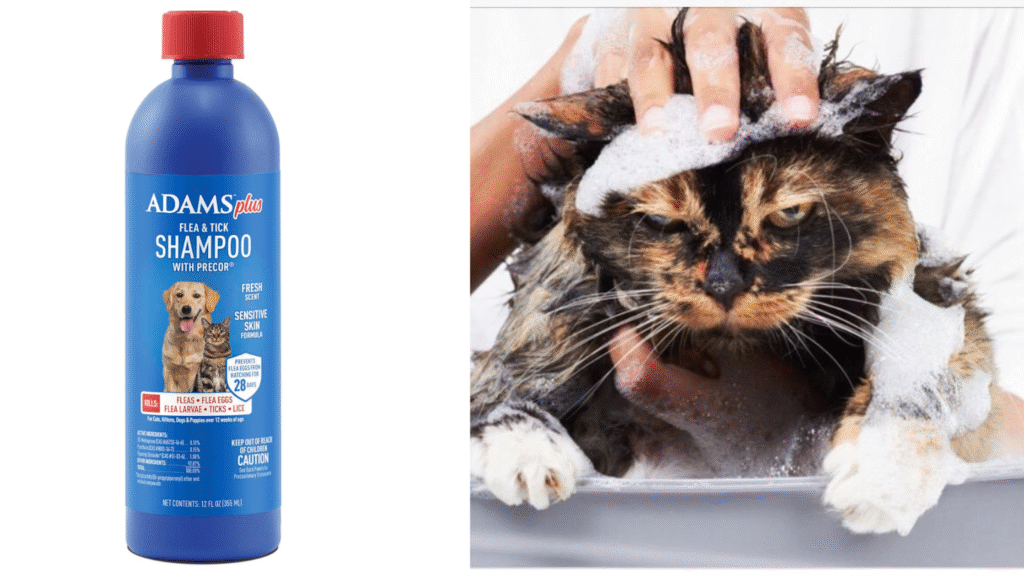 best tick and flea medicine for cats
| Adams Plus Flea & Tick Shampoo with Precor – 12 oz | petcareinf |