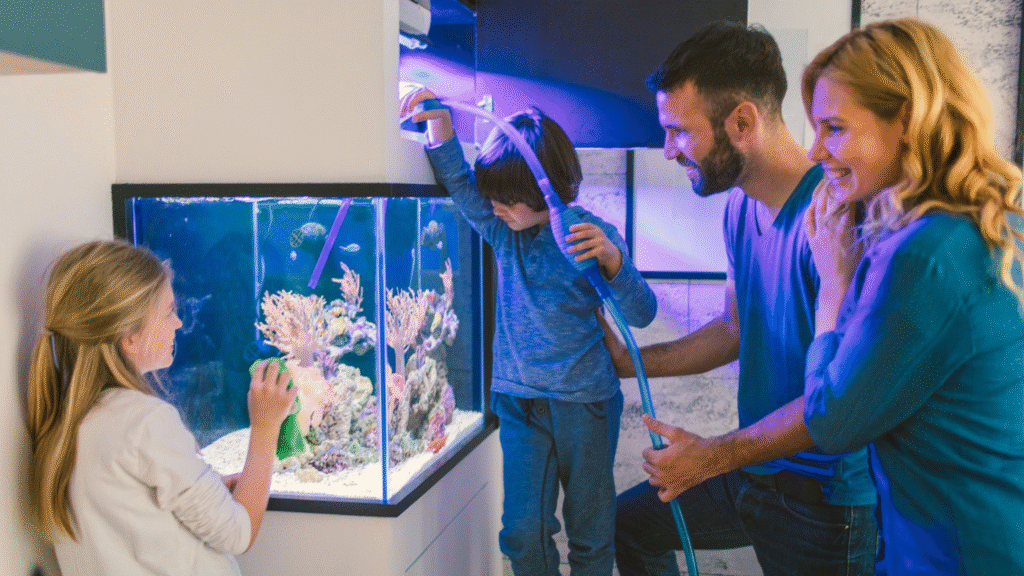 family learning how to clean a fish tank safely as part of a regular aquarium maintenance routine