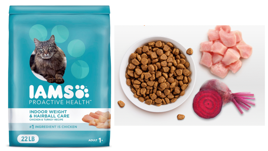 Iams ProActive Health Indoor - Best True Budget Option