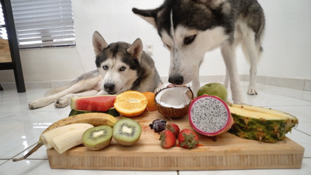 Toxic Fruits Dogs Can NEVER Eat 