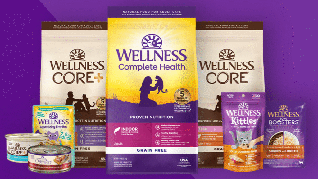 Wellness CORE Grain-Free Indoor - Best High-Protein Option
