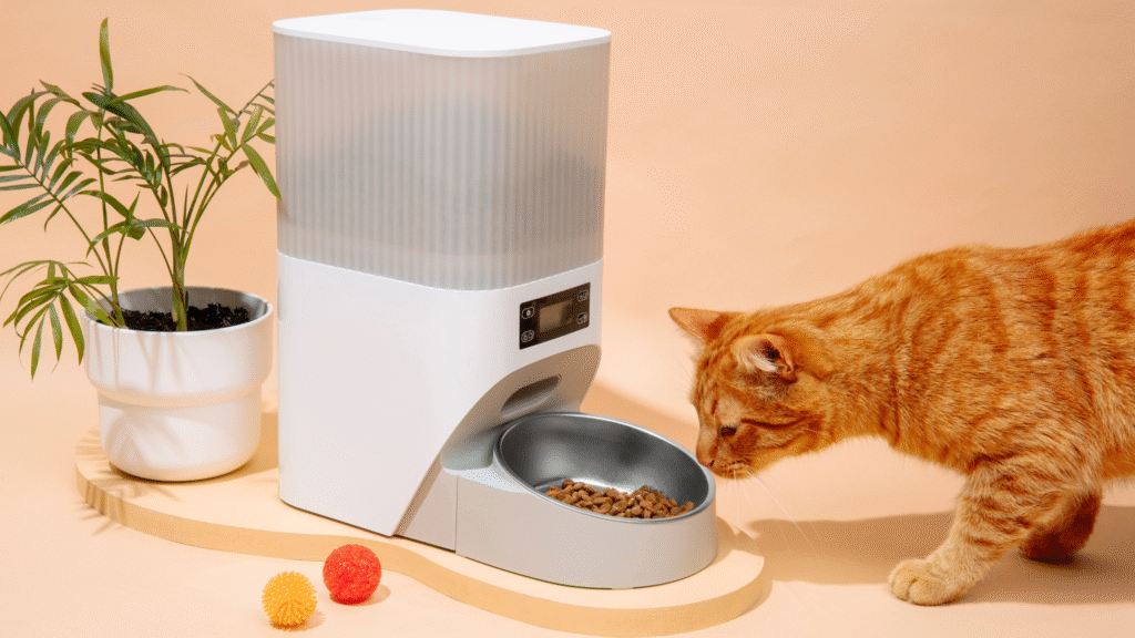 best cat food for indoor cats dispensed from an automatic feeder, showing indoor cat food portion control and balanced nutrition