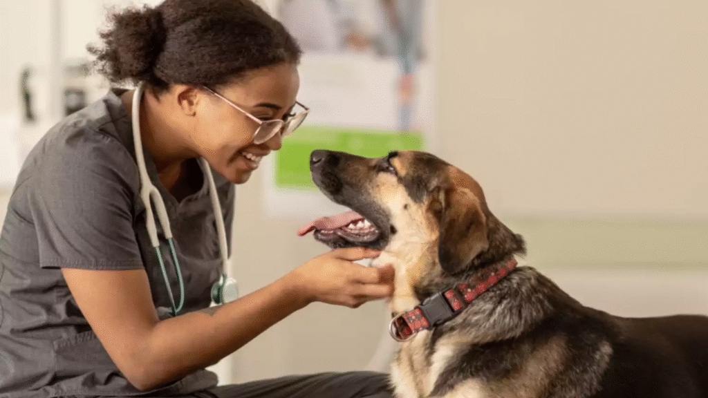 Veterinarian comforting a dog showing early signs of anxiety in dogs