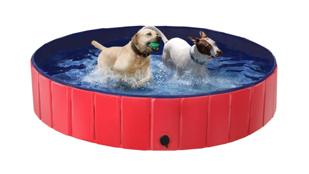 Dogs cooling off and playing in a portable dog pool, a fun way to reduce dirt buildup and influence how often should I bathe my dog during hot weather.