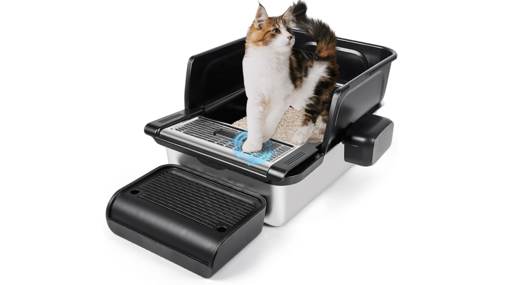 12 Reasons Cats Stop Using Litter Boxes
