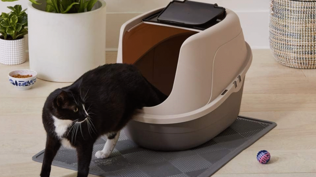 Cat Litter Box products