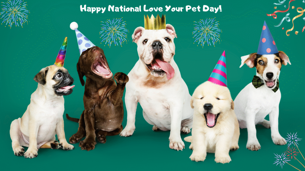 Happy National Love Your Pet Day! | petcareinf