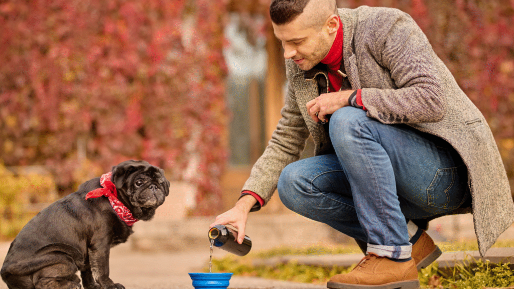 pet care tips Prioritize Hydration — Fresh Water Every Single Day