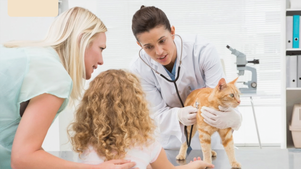 Behavioral Advice Understanding Why Your Pet Does What They Do Behavioral Advice Understanding Why Your Pet Does What They Do | petcareinf