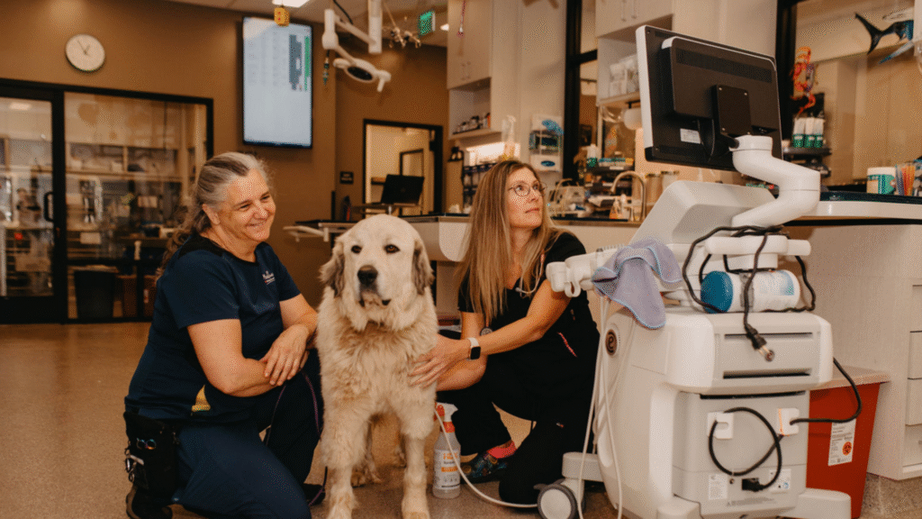 Building a Lifelong Partnership With Your Veterinarian Building a Lifelong Partnership With Your Veterinarian | petcareinf