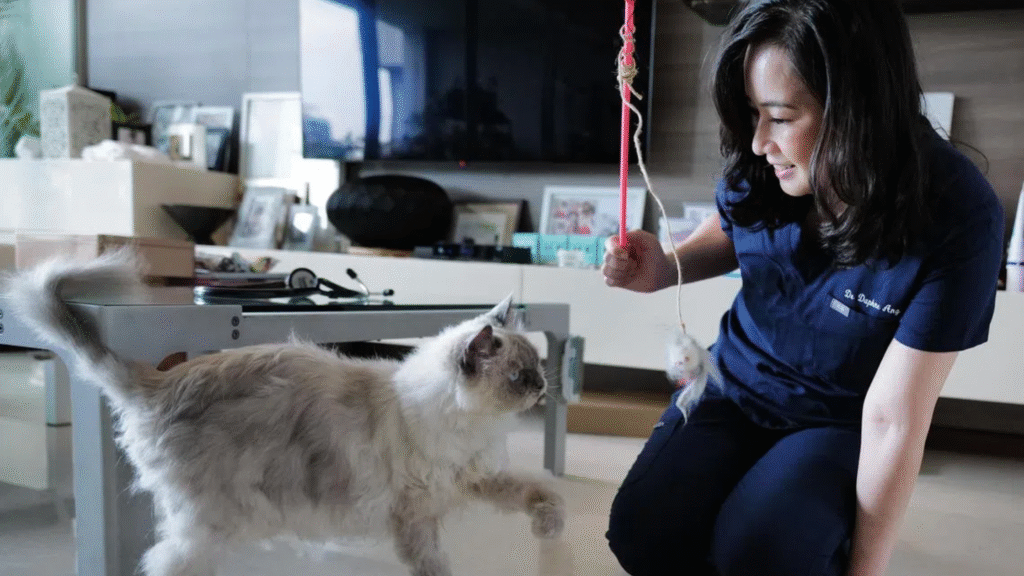 Mental Health and Emotional Wellbeing The Most Overlooked Pet Care Advice Mental Health and Emotional Wellbeing The Most Overlooked Pet Care Advice | petcareinf