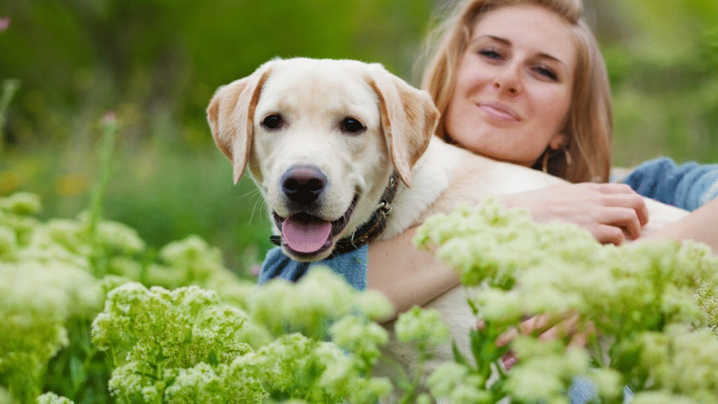 The Best Pet Care Advice for Every Pet Owner in 2026 A Complete Expert Guide The Best Pet Care Advice for Every Pet Owner in 2026 A Complete Expert Guide | petcareinf