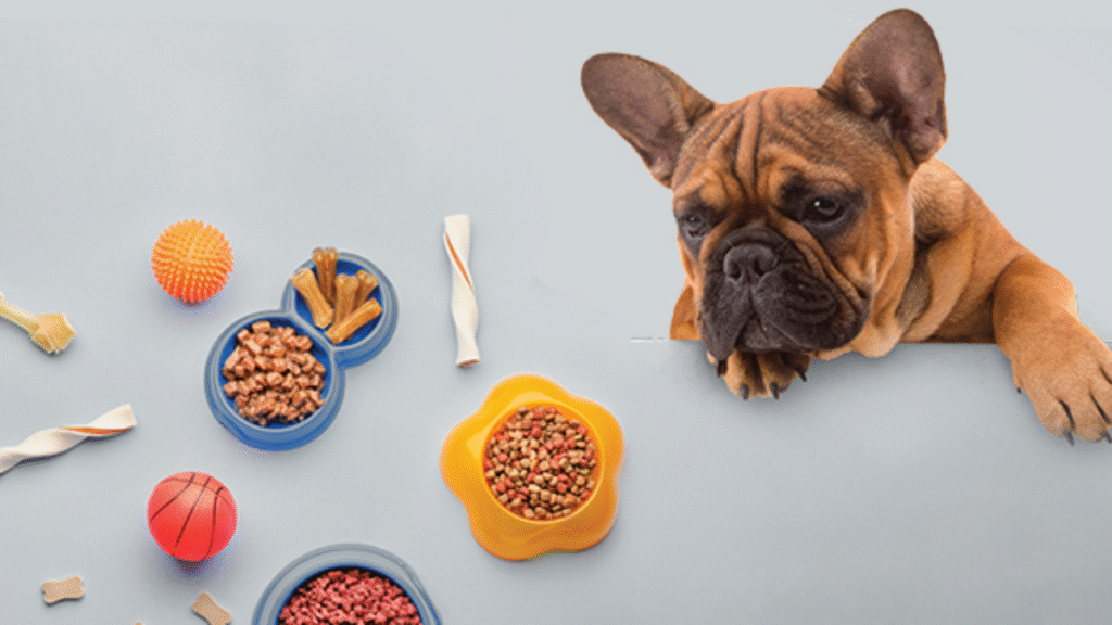The Most Important Pet Care Advice Starts With Nutrition The Most Important Pet Care Advice Starts With Nutrition | petcareinf